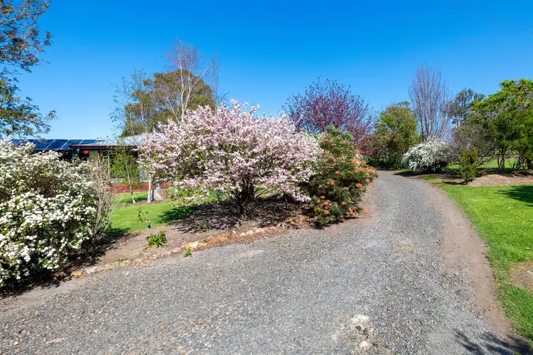 Fourth view of Homely rural property listing, 943 Cobargo Bermagui Road, Coolagolite NSW 2550