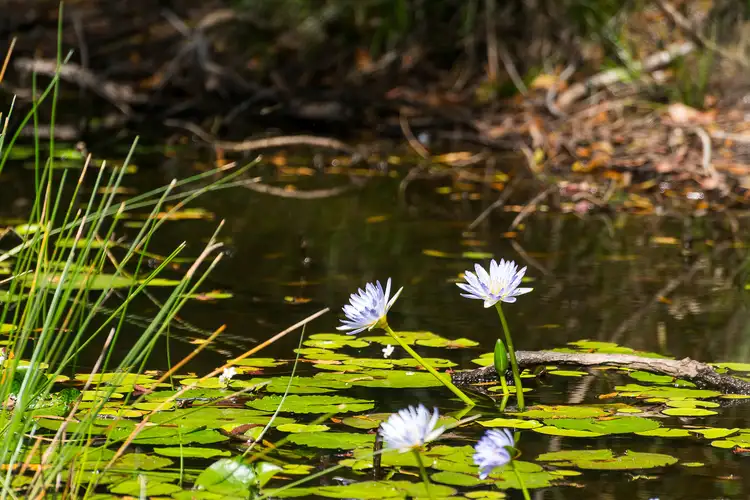 Second view of Homely house listing, 345 Sunrise Drive, Ocean View QLD 4521