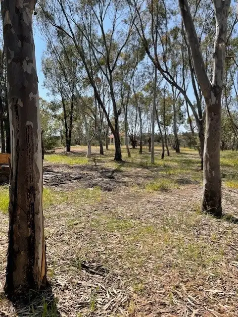 Second view of Homely house listing, 226 Avon Terrace, York WA 6302