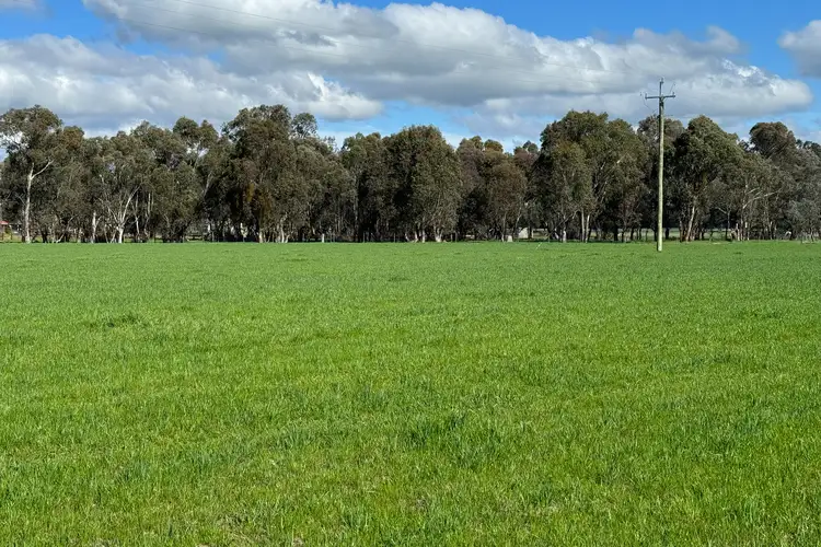 263 Hume Highway, Holbrook NSW 2644
