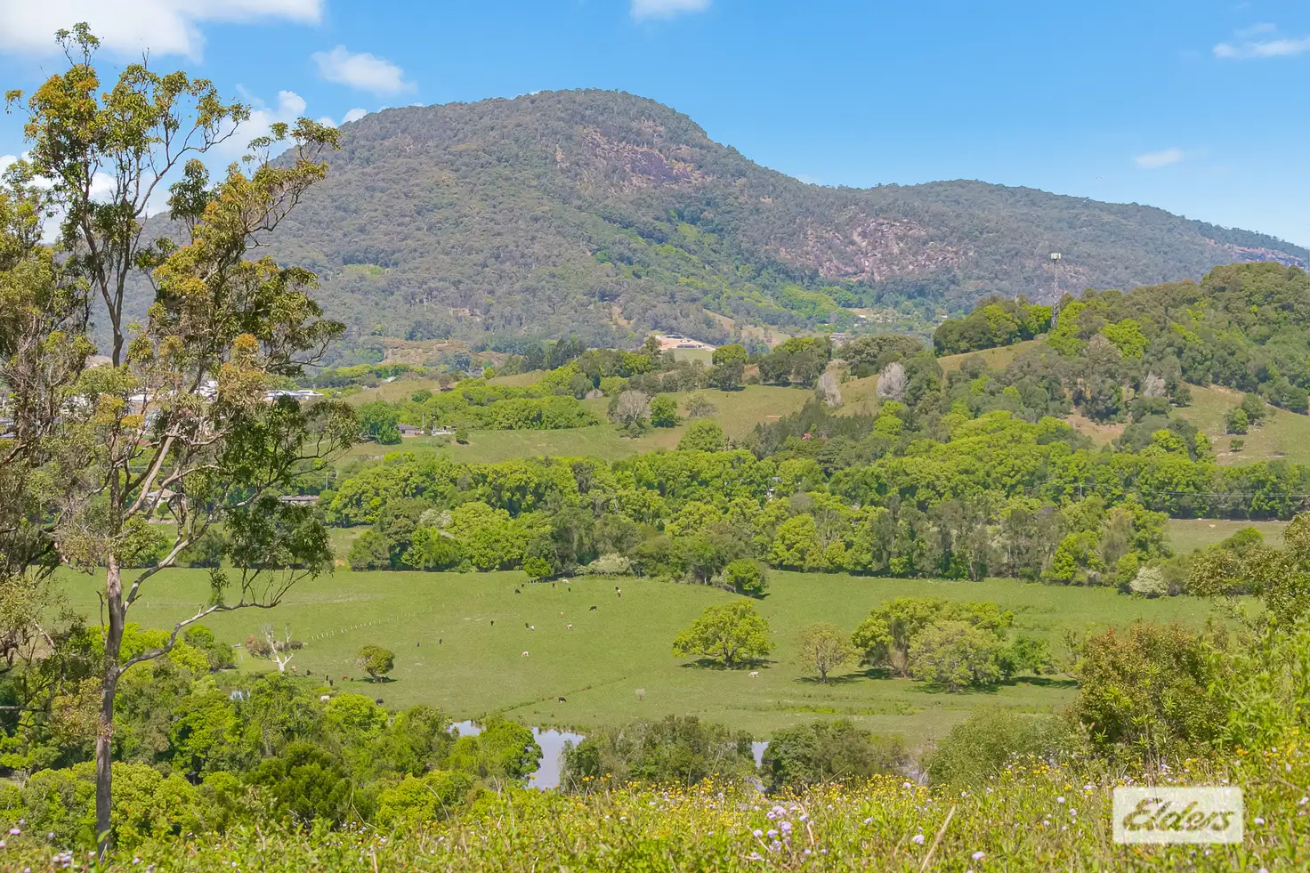 Main view of Homely rural property listing, 444 Numinbah Road, Nobbys Creek NSW 2484