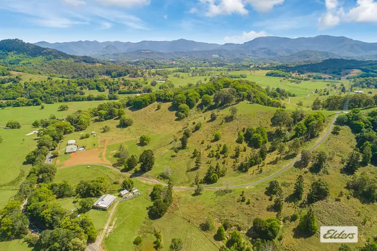 Fifth view of Homely rural property listing, 444 Numinbah Road, Nobbys Creek NSW 2484
