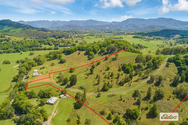 Seventh view of Homely rural property listing, 444 Numinbah Road, Nobbys Creek NSW 2484