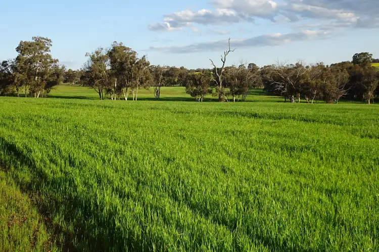 Main view of Homely rural property listing, Lot 10661 North Wandering Road, Hastings WA 6308