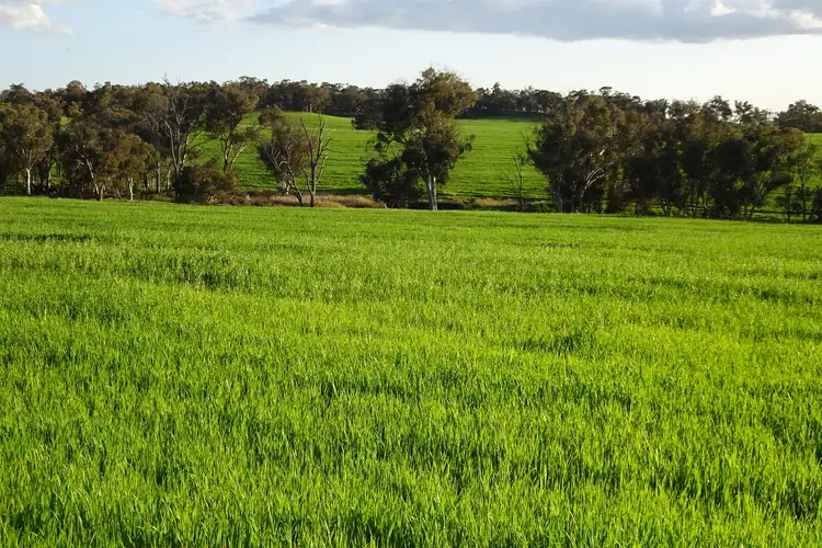 Second view of Homely rural property listing, Lot 10661 North Wandering Road, Hastings WA 6308