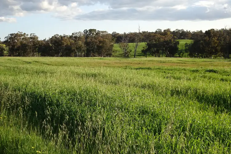 Third view of Homely rural property listing, Lot 10661 North Wandering Road, Hastings WA 6308