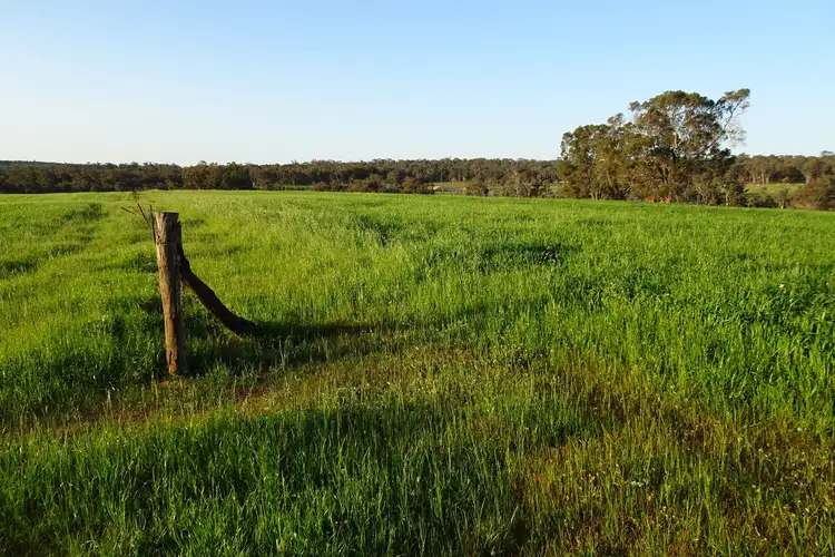 Seventh view of Homely rural property listing, Lot 10661 North Wandering Road, Hastings WA 6308