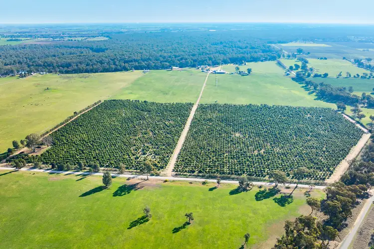 Main view of Homely rural property listing, Sepelts Road, Barooga NSW 3644