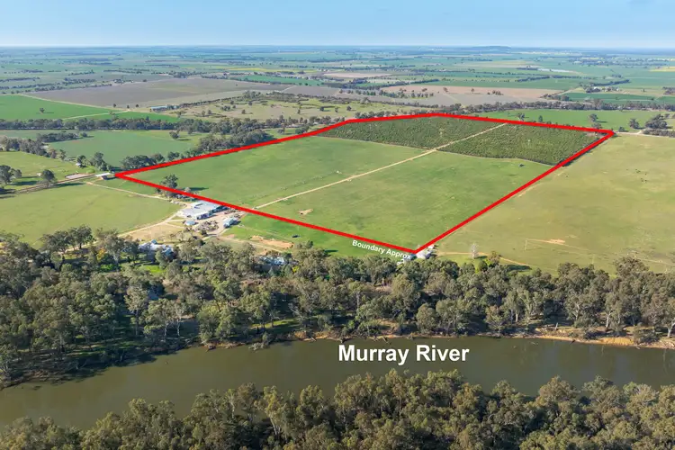 Fifth view of Homely rural property listing, Sepelts Road, Barooga NSW 3644