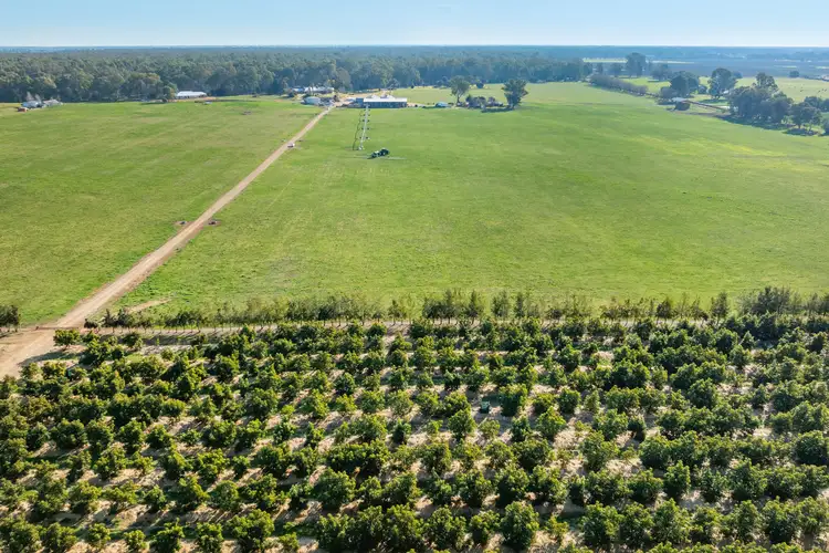 Sixth view of Homely rural property listing, Sepelts Road, Barooga NSW 3644