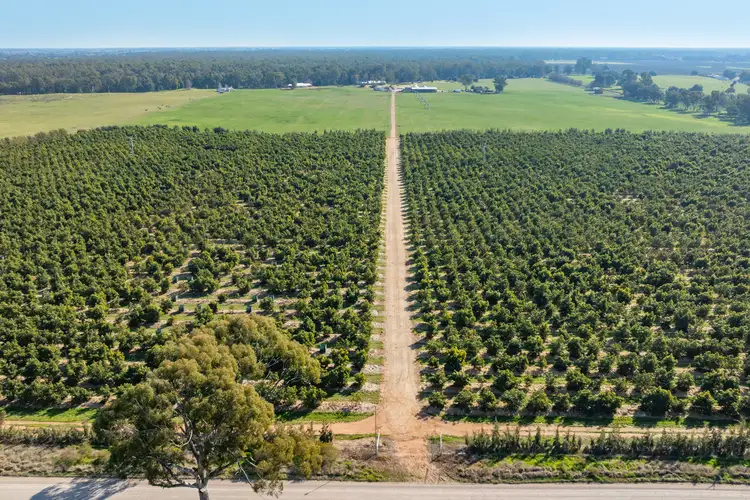 Seventh view of Homely rural property listing, Sepelts Road, Barooga NSW 3644