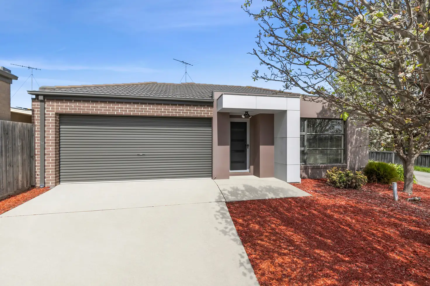Main view of Homely unit listing, 1/36 Benita Place, Leopold VIC 3224