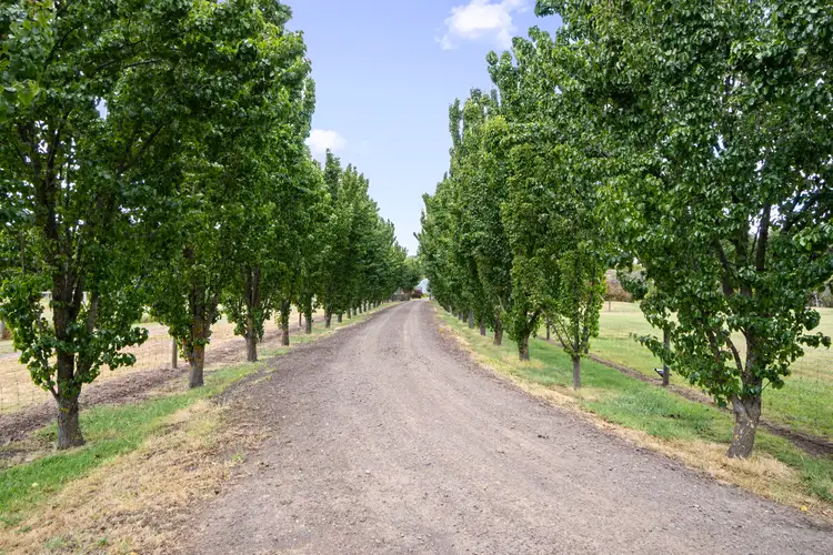 Third view of Homely house listing, 60 Roseneath Road, Warncoort VIC 3243