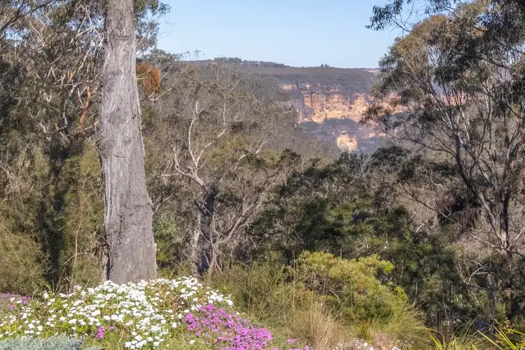 Third view of Homely house listing, 15-17 Gladstone Street, Wentworth Falls NSW 2782