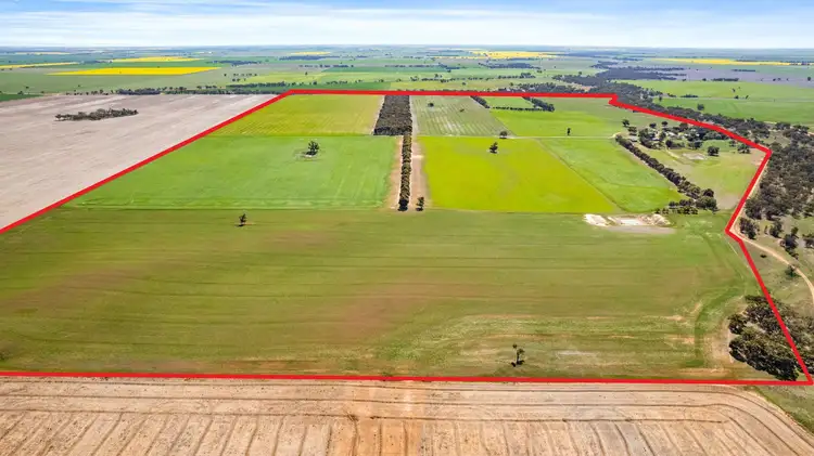 Second view of Homely rural property listing, 635 Dunmunkle Creek Road, Rupanyup VIC 3388