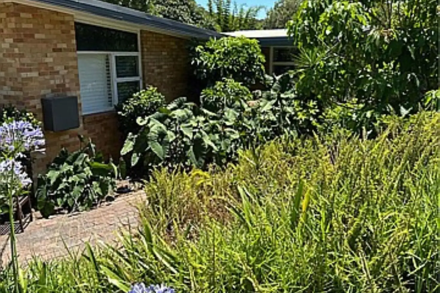 Main view of Homely house listing, 14 Bender Parade, Kotara NSW 2289