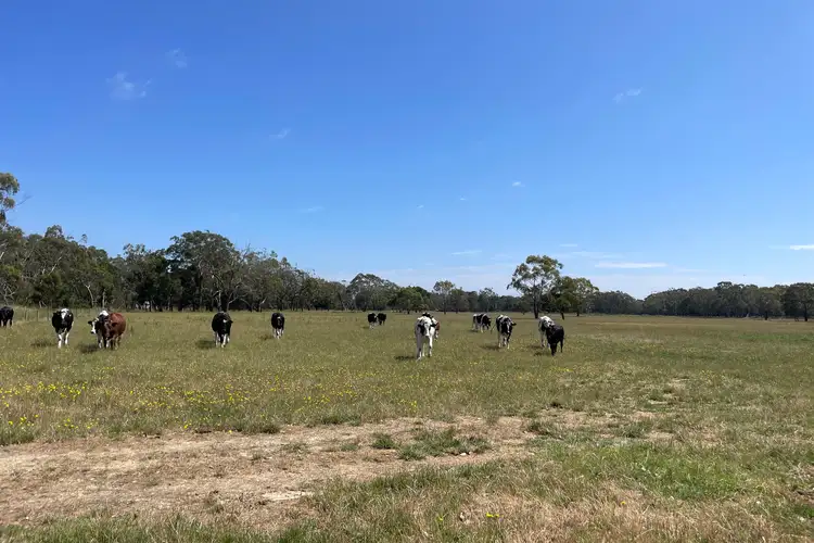 Fourth view of Homely rural property listing, Lot 2, Princes Highway, Heywood VIC 3304