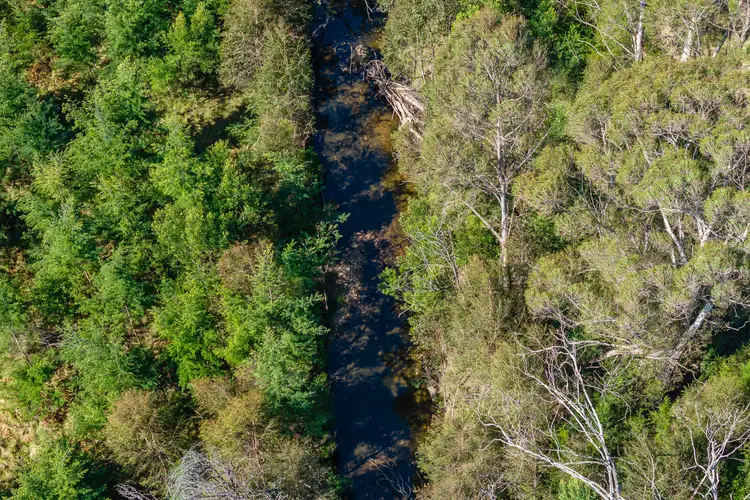Mccardys Creek Road