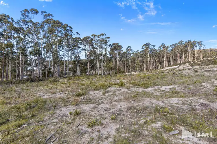 Second view of Homely land listing, 1B Forest Heights Drive, Tugrah TAS 7310