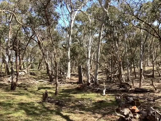 Lot 70C & McMillan Lane, Beaufort VIC 3373