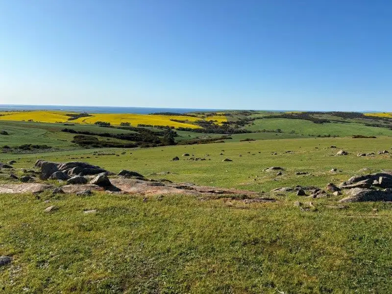 Main view of Homely rural property listing, LOT 1 & 2 McAvaney Lane, Whites Flat SA 5607