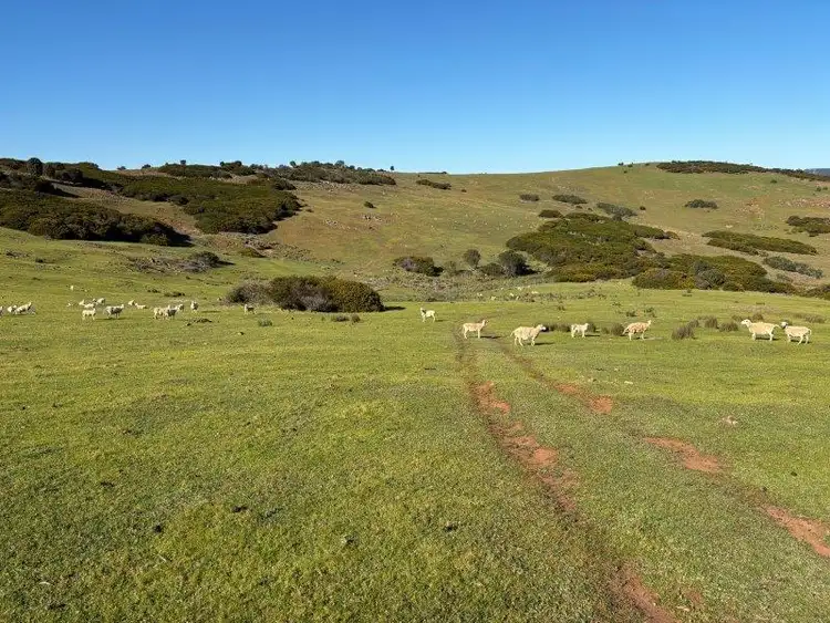 Third view of Homely rural property listing, LOT 1 & 2 McAvaney Lane, Whites Flat SA 5607