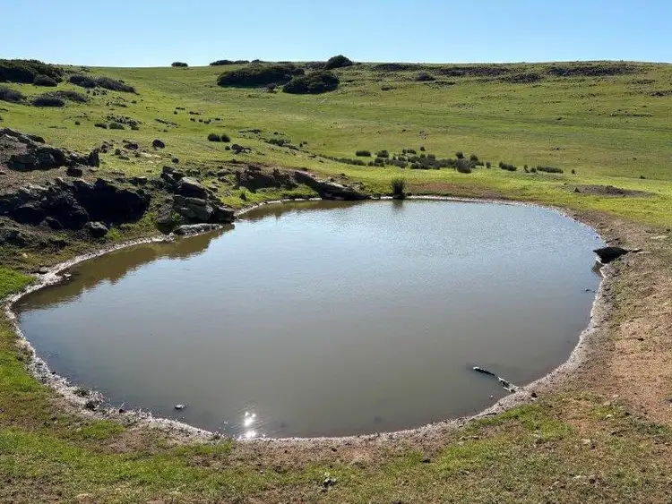 Fourth view of Homely rural property listing, LOT 1 & 2 McAvaney Lane, Whites Flat SA 5607