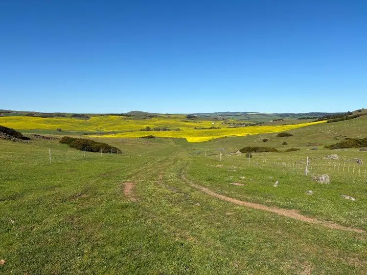 Fifth view of Homely rural property listing, LOT 1 & 2 McAvaney Lane, Whites Flat SA 5607