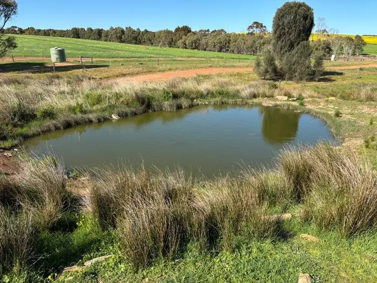 Sixth view of Homely rural property listing, LOT 1 & 2 McAvaney Lane, Whites Flat SA 5607