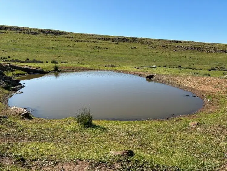 Seventh view of Homely rural property listing, LOT 1 & 2 McAvaney Lane, Whites Flat SA 5607