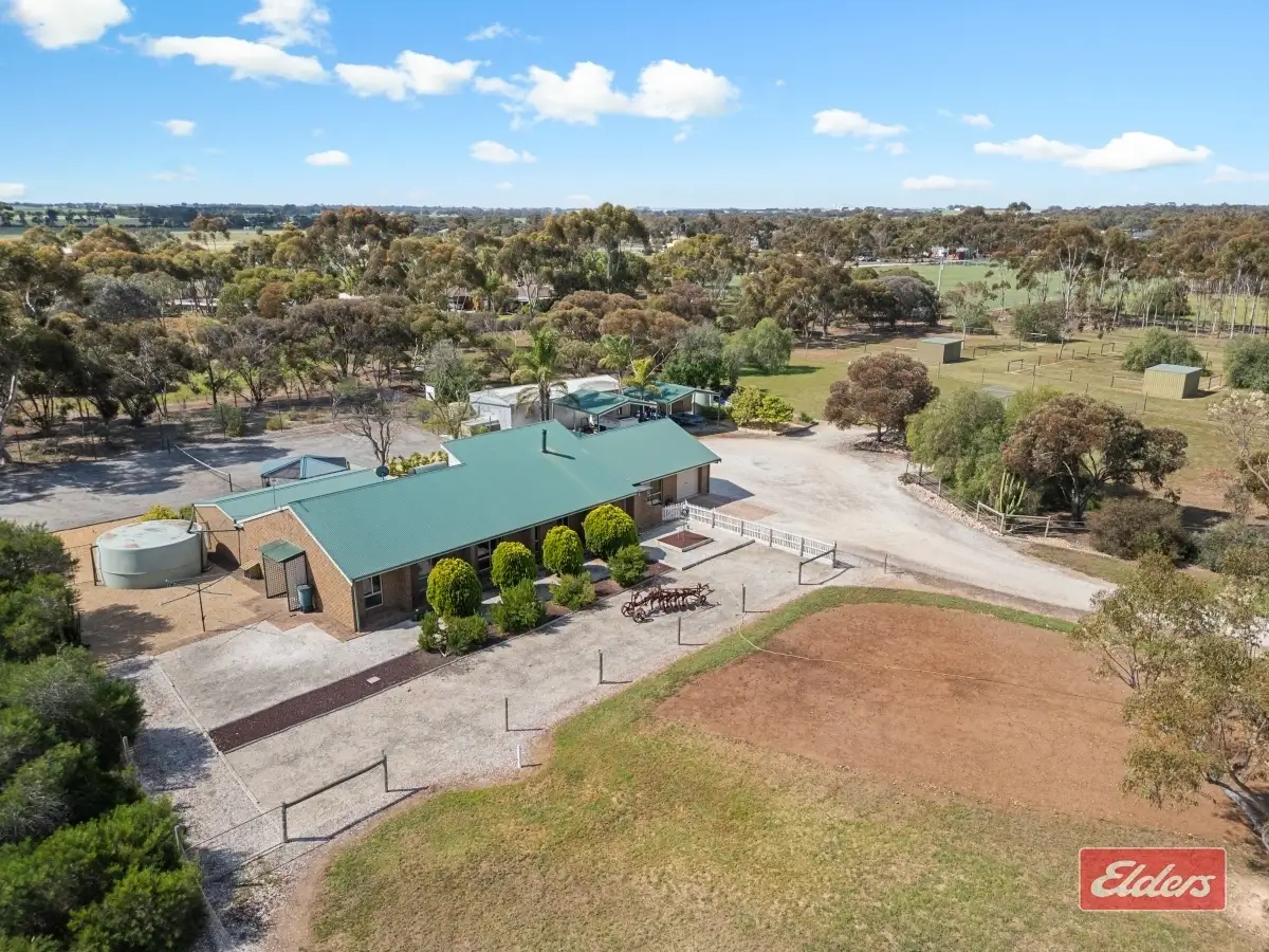 Main view of Homely house listing, 84 Clancy Road, Gawler Belt SA 5118