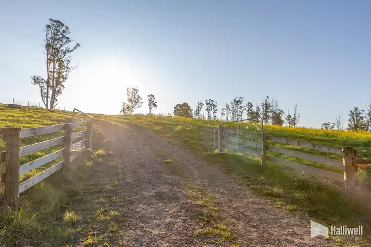 Maloneys Road, Sunnyside TAS 7305
