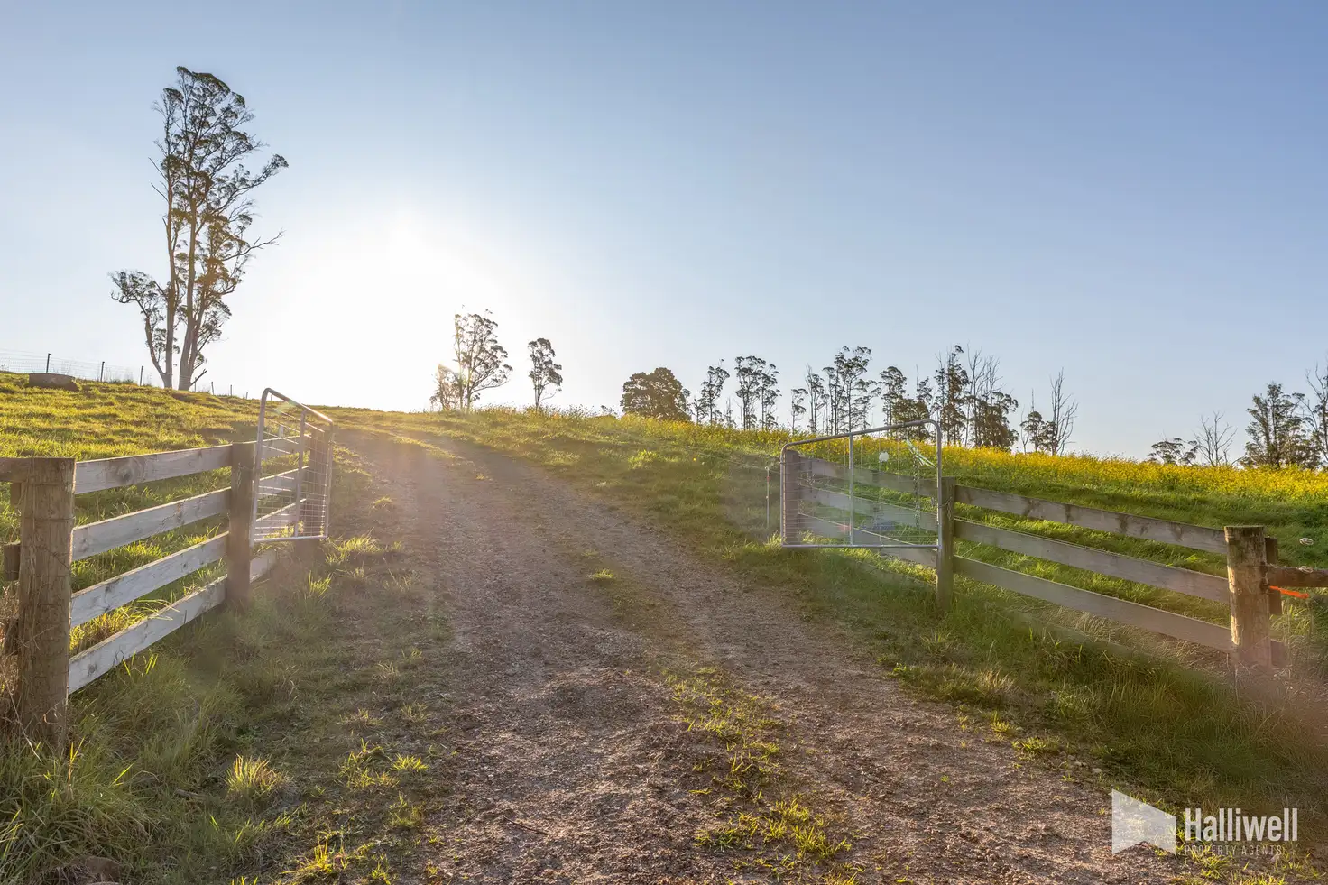 Main view of Homely land listing, Maloneys Road, Sunnyside TAS 7305