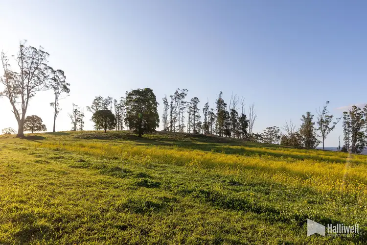 Second view of Homely land listing, Maloneys Road, Sunnyside TAS 7305