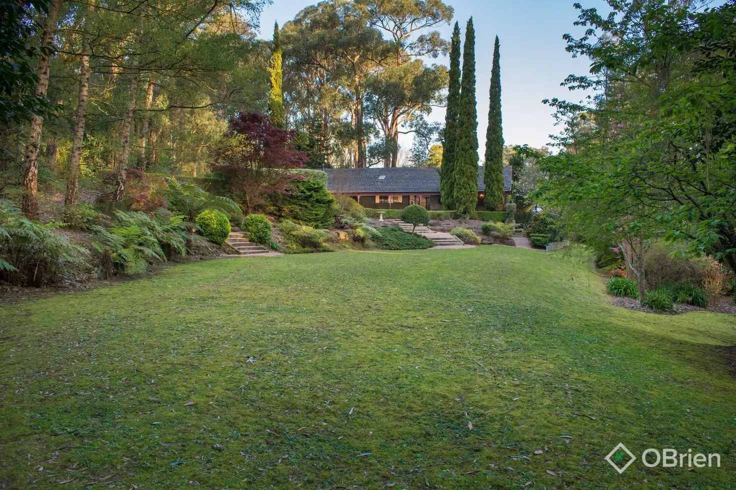 Main view of Homely house listing, 155 Emerald-Monbulk Road, Emerald VIC 3782