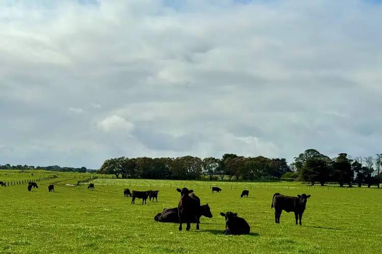 Princes Highway, Weerite VIC 3260