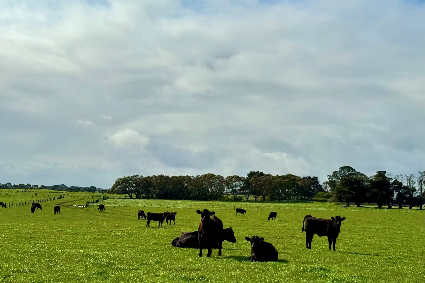 Main view of Homely rural property listing, Princes Highway, Weerite VIC 3260