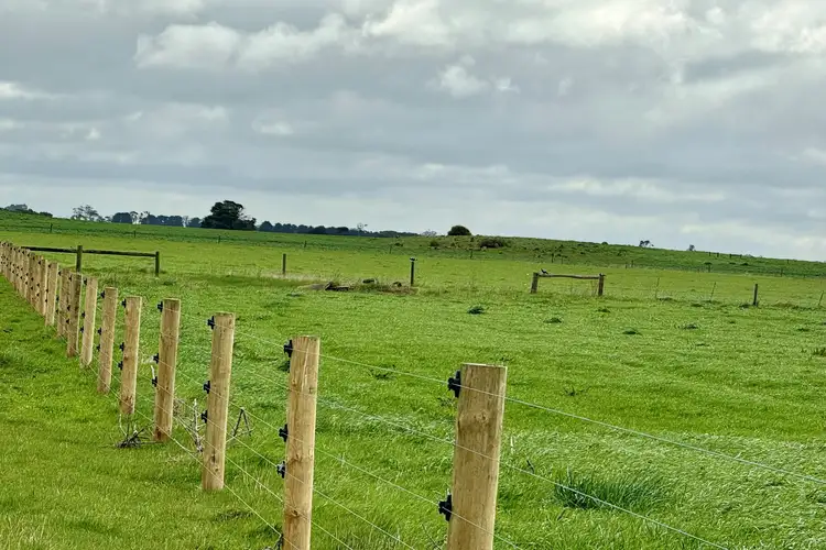 Seventh view of Homely rural property listing, Princes Highway, Weerite VIC 3260