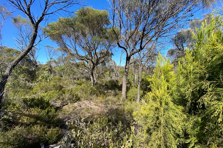 Sixth view of Homely land listing, 28 Nicholson Avenue, Coffin Bay SA 5607