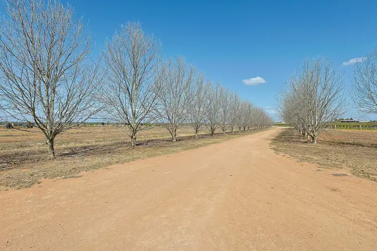 Third view of Homely rural property listing, 28 Brett Road, Euston NSW 2737