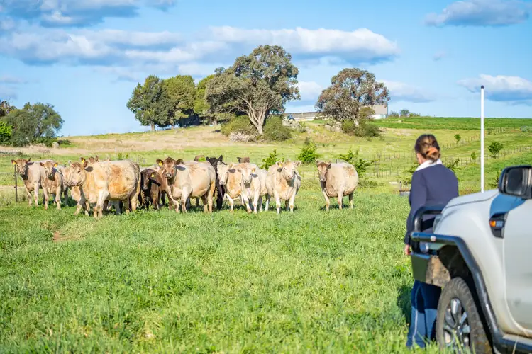 Canowindra Road, Cowra NSW 2794