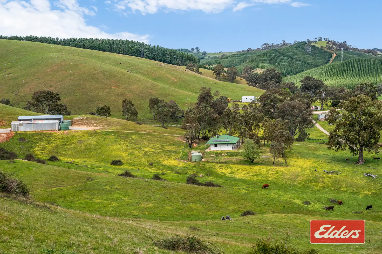 Main view of Homely house listing, 217 Deloraine Road, Kersbrook SA 5231