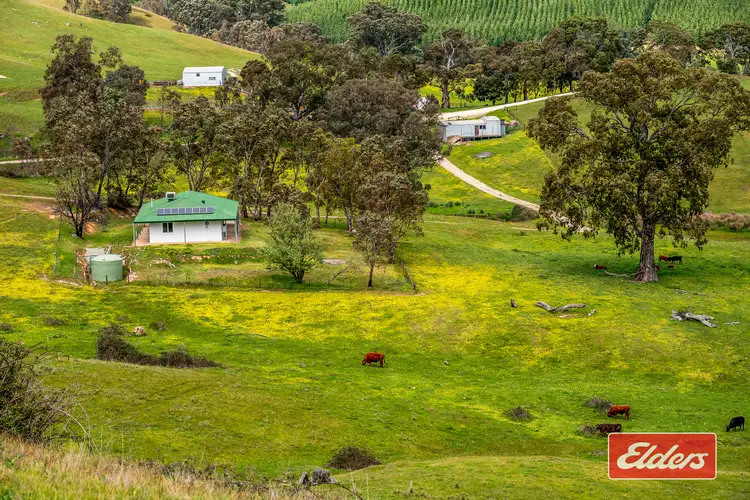 Second view of Homely house listing, 217 Deloraine Road, Kersbrook SA 5231