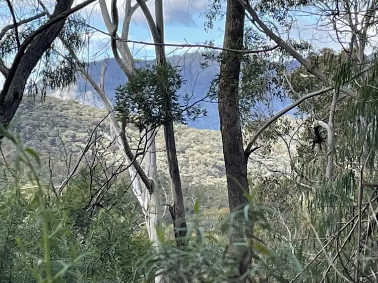 Second view of Homely rural property listing, 85/305 Big Jack Mountain Road, Burragate NSW 2550