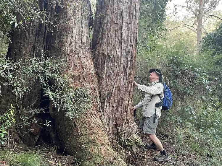 Seventh view of Homely rural property listing, 85/305 Big Jack Mountain Road, Burragate NSW 2550