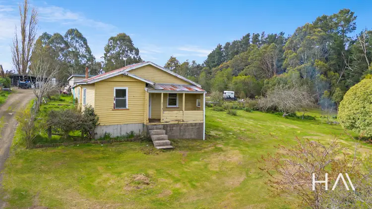 Sixth view of Homely house listing, 61 Scott Street, Branxholm TAS 7261