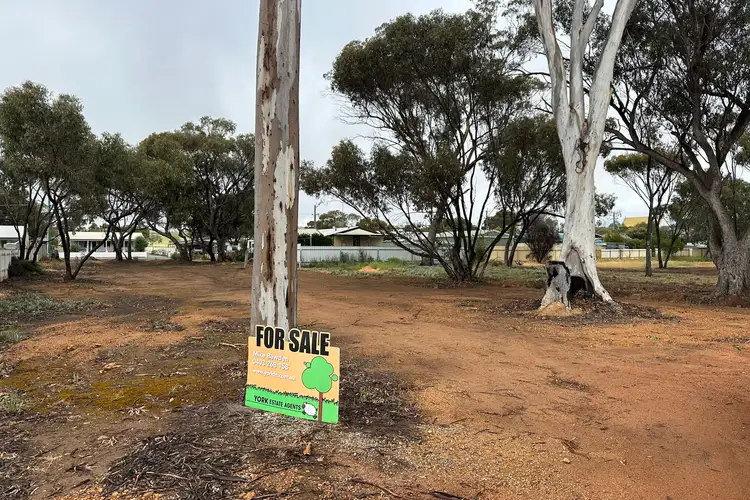 Main view of Homely land listing, 19 Hope Street, Beverley WA 6304