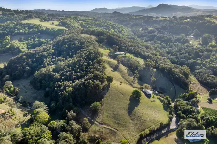 Second view of Homely rural property listing, 221 Duroby Creek Road, Duroby NSW 2486