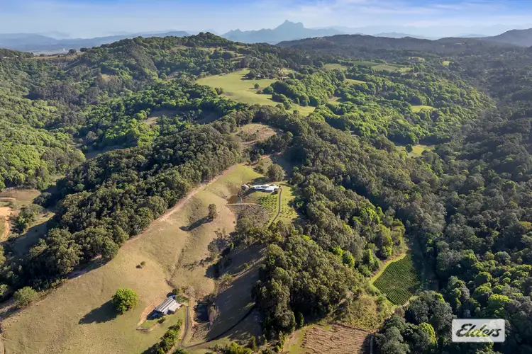 Sixth view of Homely rural property listing, 221 Duroby Creek Road, Duroby NSW 2486