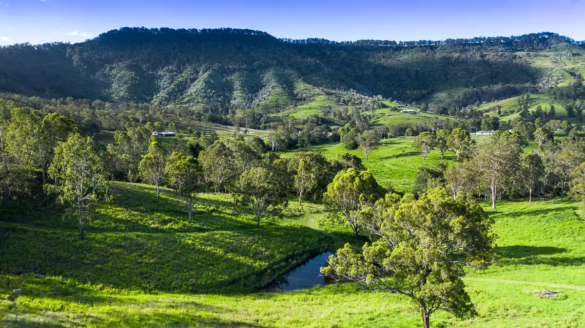 Main view of Homely rural property listing, Lot 2 Illinbah Road, Ferny Glen QLD 4275